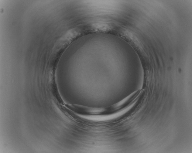 X0000089720451200706211413