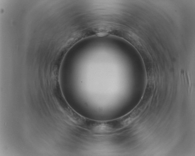 X0000089720460200706211413