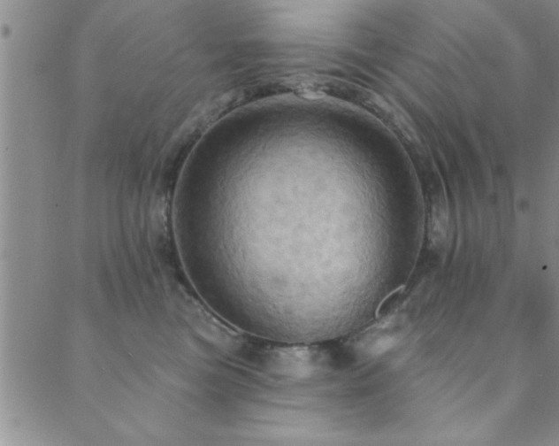 X0000089720473200706211413