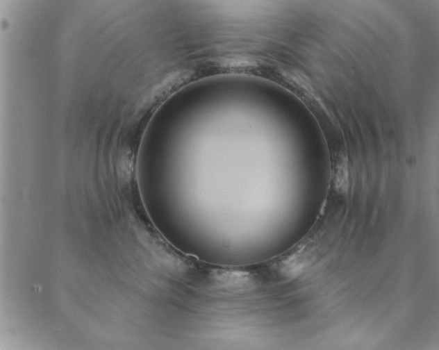 X0000089720476200706211413