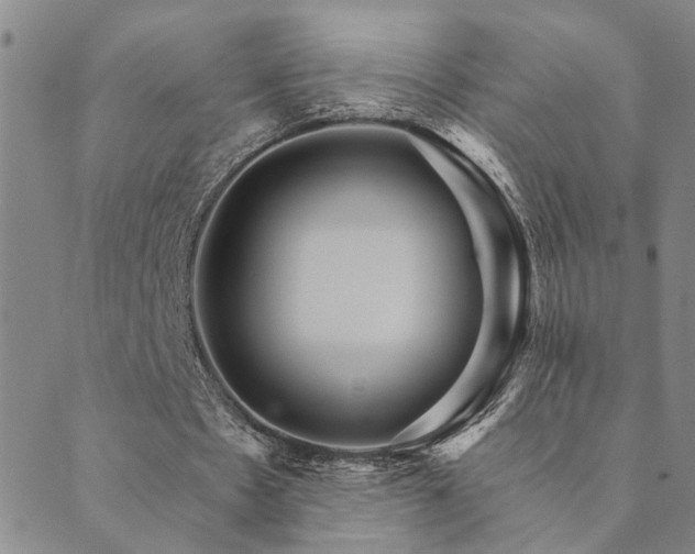 X0000089720481200706211412