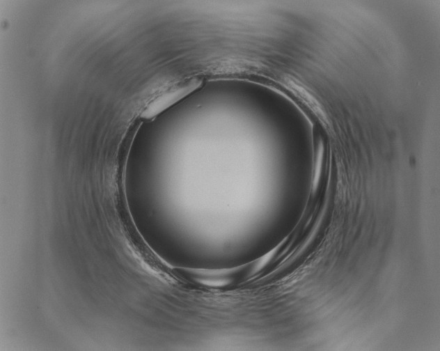 X0000089720485200706211412