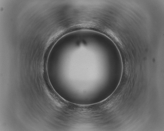 X0000089720486200706211412