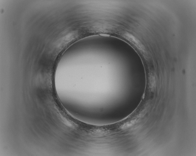 X0000089720489200706211412