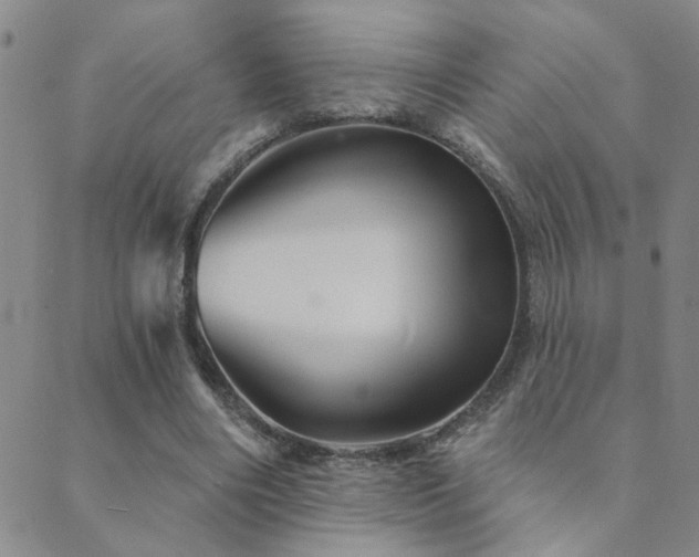 X0000089720490200706211412