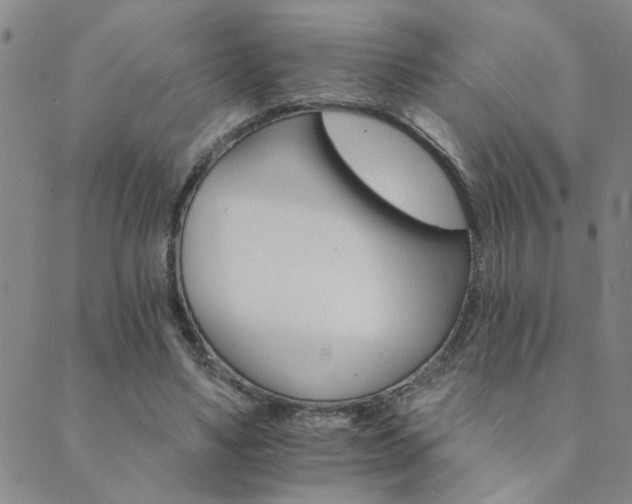 X0000089720491200706211412