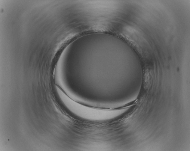 X0000089720492200706211412
