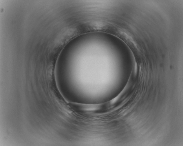 X0000089720509200706211412