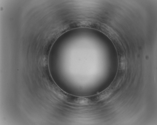 X0000089720514200706211412