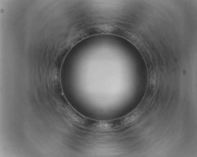 X0000089720518200706211412