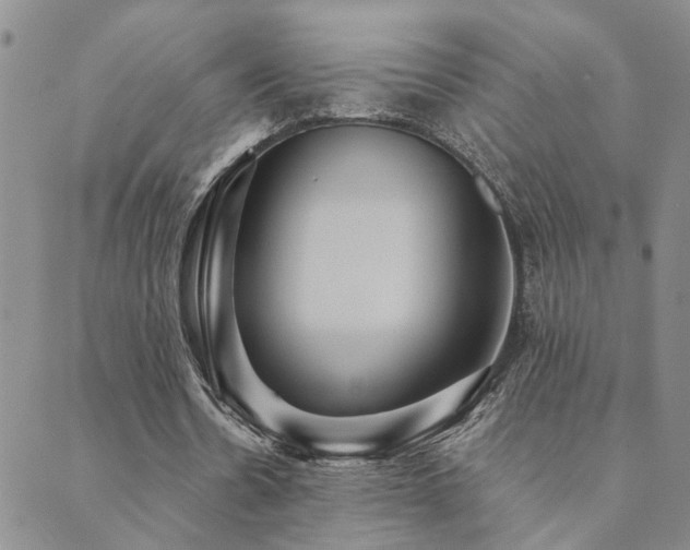 X0000089720530200706211411