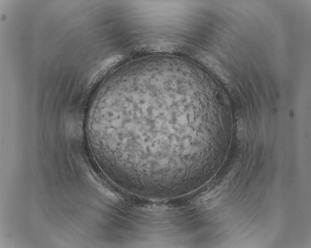 X0000089720537200706211411