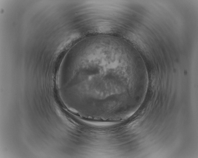 X0000089720542200706211411