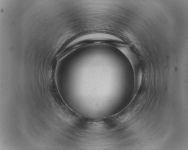 X0000089720548200706211411