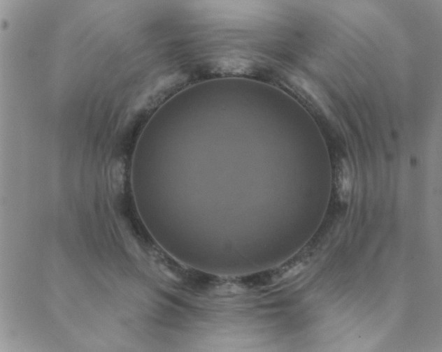 X0000089720551200706211411