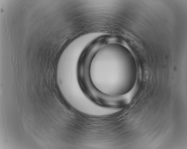 X0000089720560200706211411
