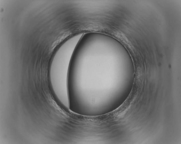 X0000089720585200706211411
