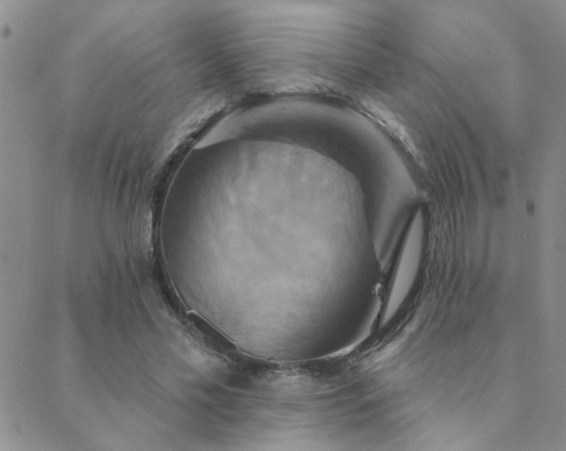 X0000089720589200706211411