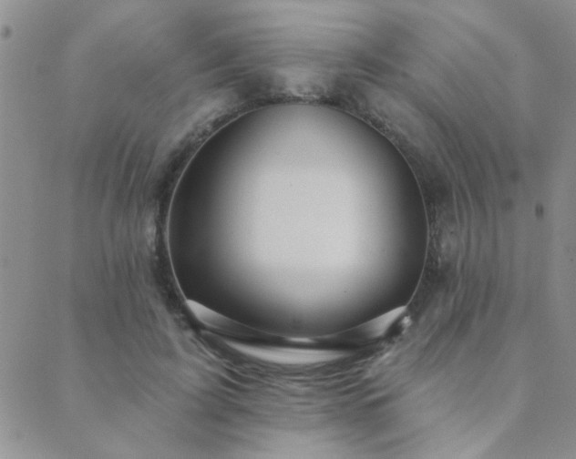 X0000089720595200706211410