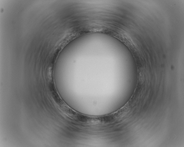 X0000089720598200706211410