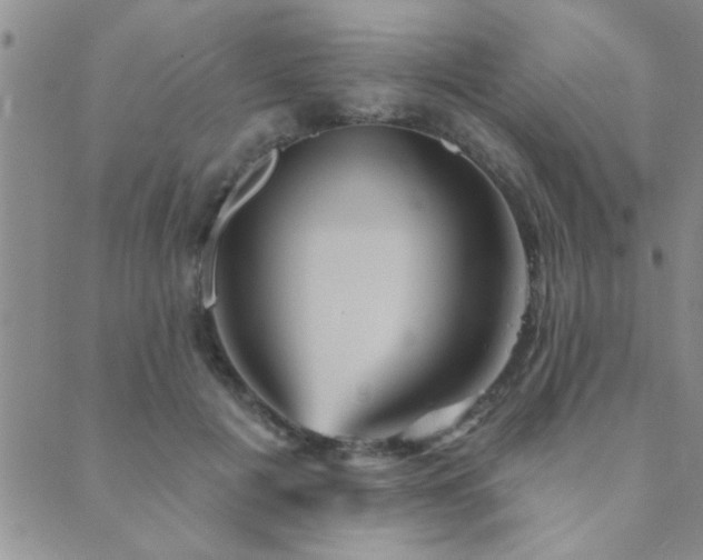 X0000089720601200706211410