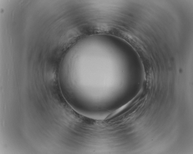 X0000089720608200706211410