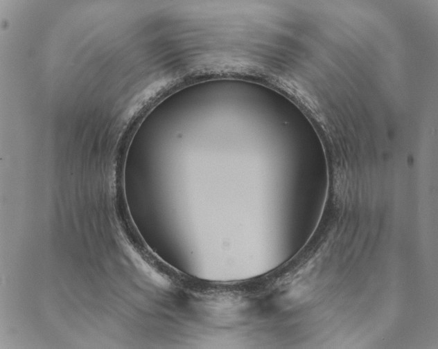 X0000089720629200706211409