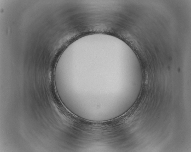 X0000089720636200706211409