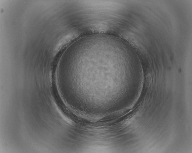 X0000089720638200706211409
