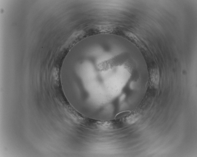 X0000089720667200706211410