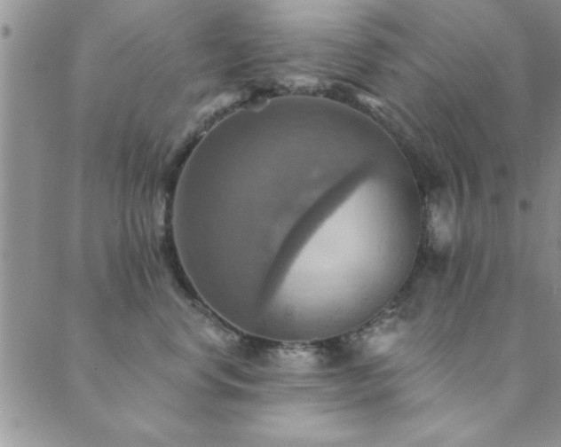 X0000089720668200706211410