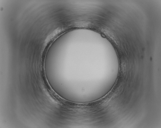 X0000089720682200706211409