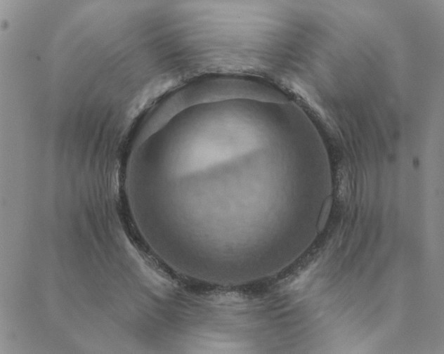 X0000089720685200706211409