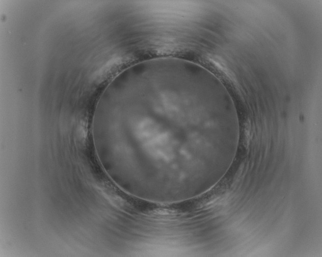 X0000089720691200706211409