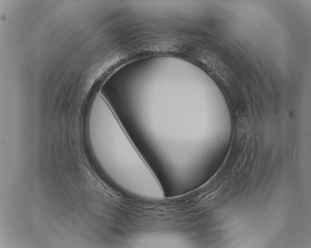 X0000089720727200706211408