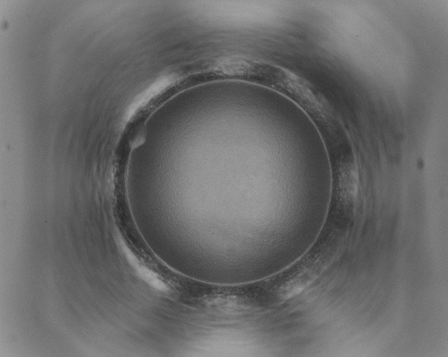 X0000089720730200706211408