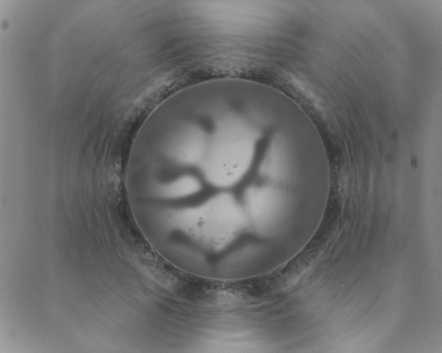 X0000089720737200706211408