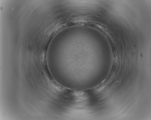 X0000089720767200706211408