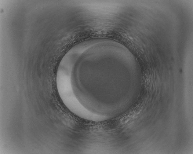 X0000089720769200706211408