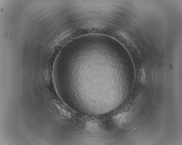 X0000089720774200706211408