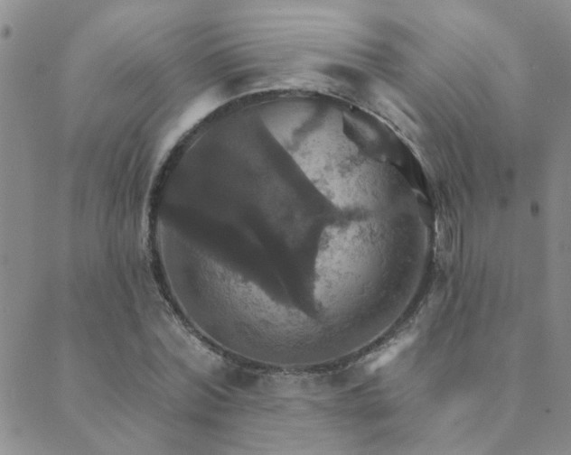 X0000089720780200706211407