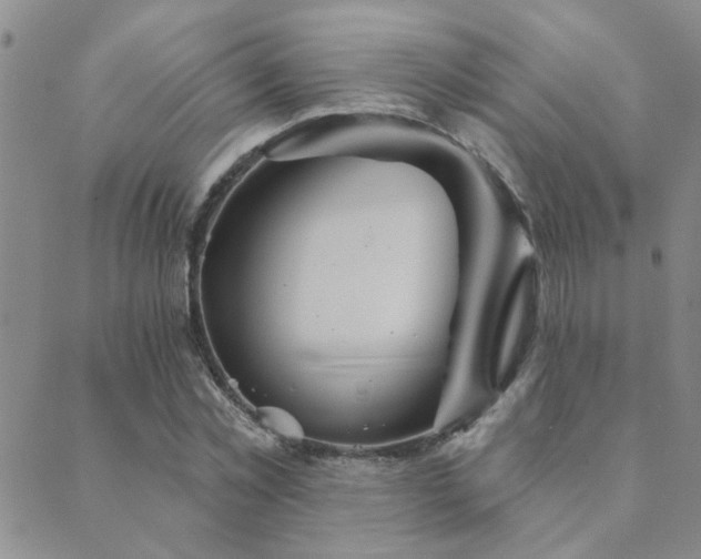 X0000089720781200706211407