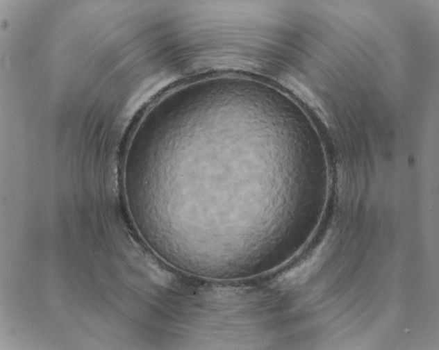 X0000089720782200706211407