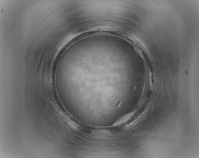 X0000089720784200706211407