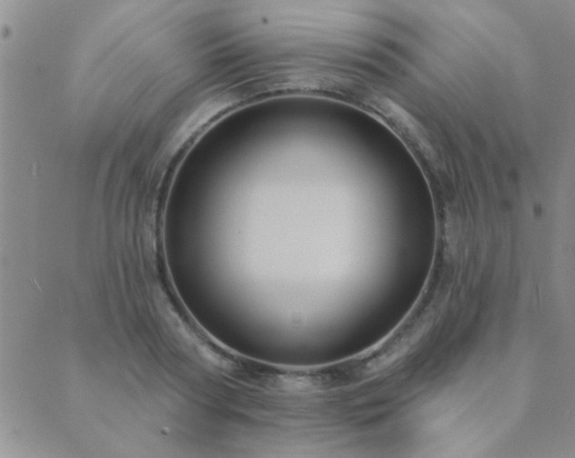 X0000089720794200706211407