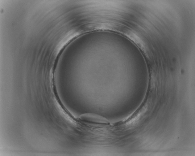 X0000089720798200706211407