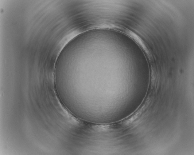 X0000089720810200706211407