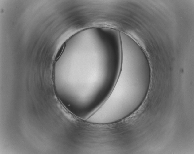 X0000089720816200706211407