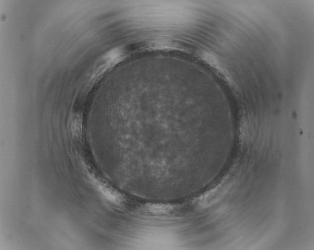 X0000089720825200706211406