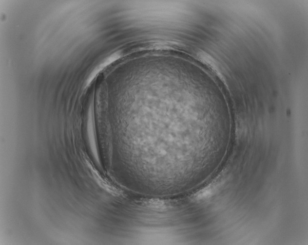 X0000089720827200706211406